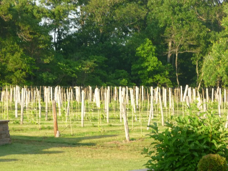 Villa Antonio Winery May 2014 027